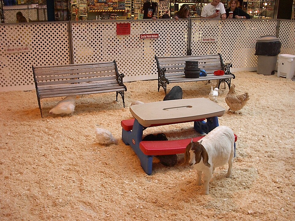 Kinderboerderij Mascagnihof