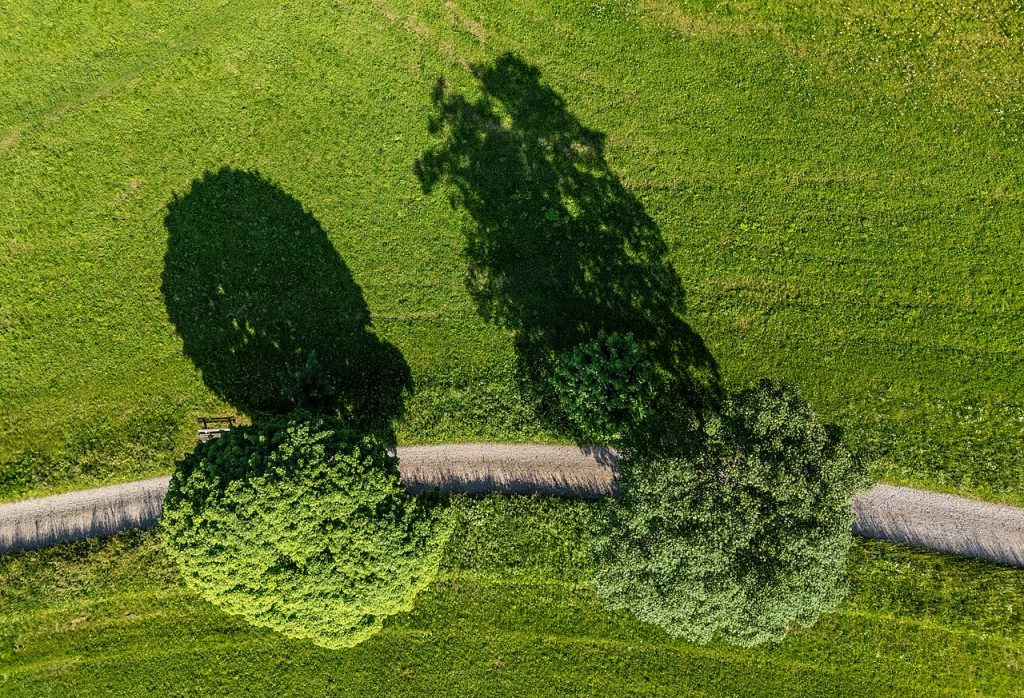 Tilburg Ten Miles Wandeltocht in Tilburg