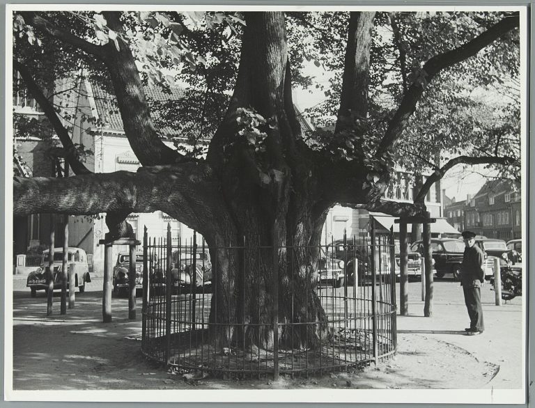 Markt op Het Heuvelplein — Markten in Tilburg