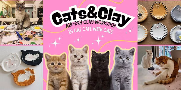 Cats&Clay – clay workshop in cat cafe with cats – Tilburg in Tilburg