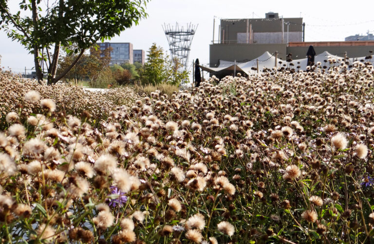 IVN workshop: tekenen in de natuur — Natuur in Tilburg