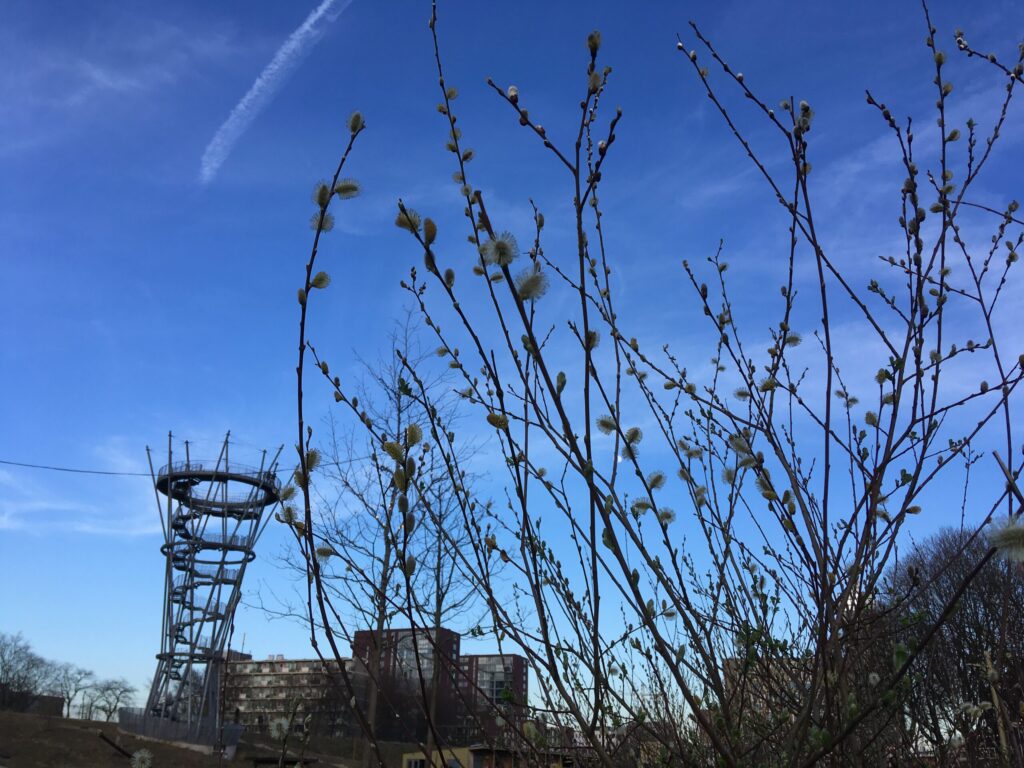 IVN workshop: tekenen in de natuur in Tilburg