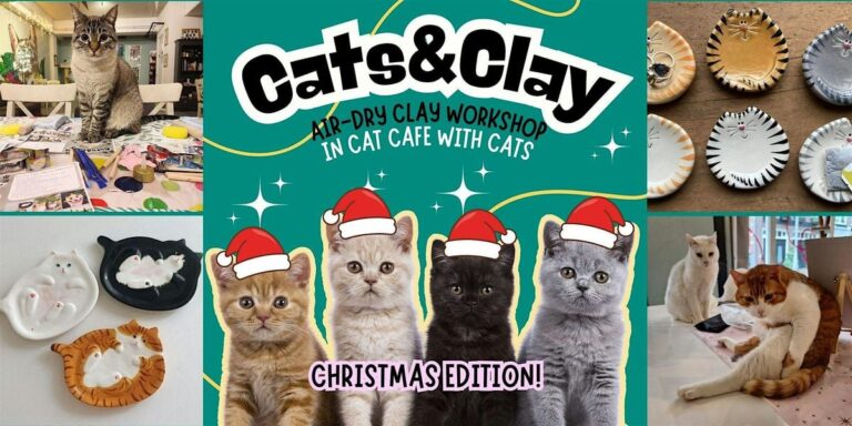 Cats&ampClay – clay workshop in cat cafe with cats – Tilburg Christmas edition — museum-expo in Tilburg